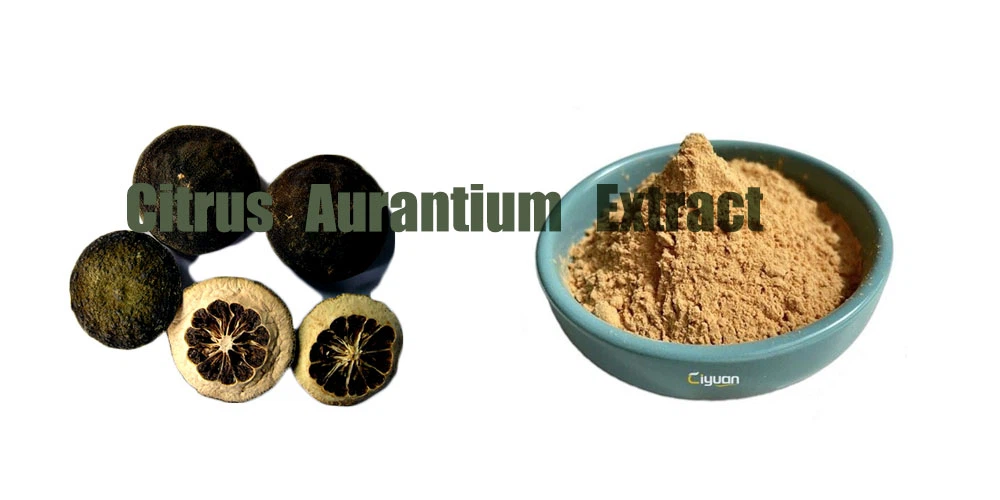 Citrus Aurantium Extract.png